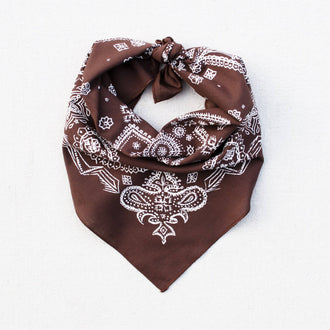 Abracadana - Brown Sketched Paisley Bandana