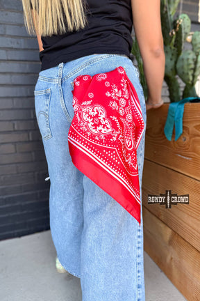 Rowdy Crowd Clothing - SMALL Buffalo Bandana Wild Rags